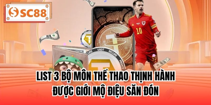 List 3 bộ môn thể thao thịnh hành được giới mộ điệu săn đón